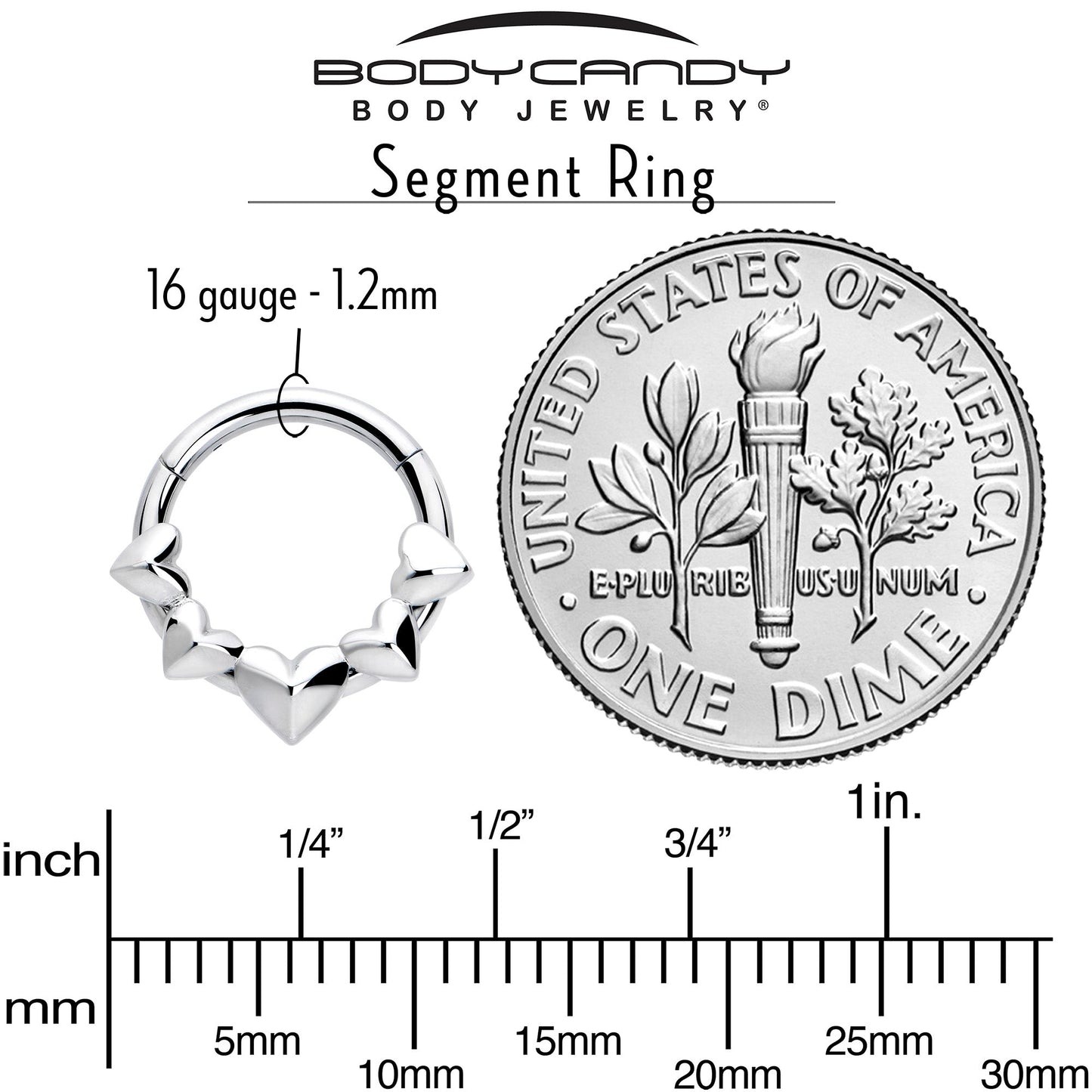 16G 5/16 3D Hearts Hinged Segment Ring
