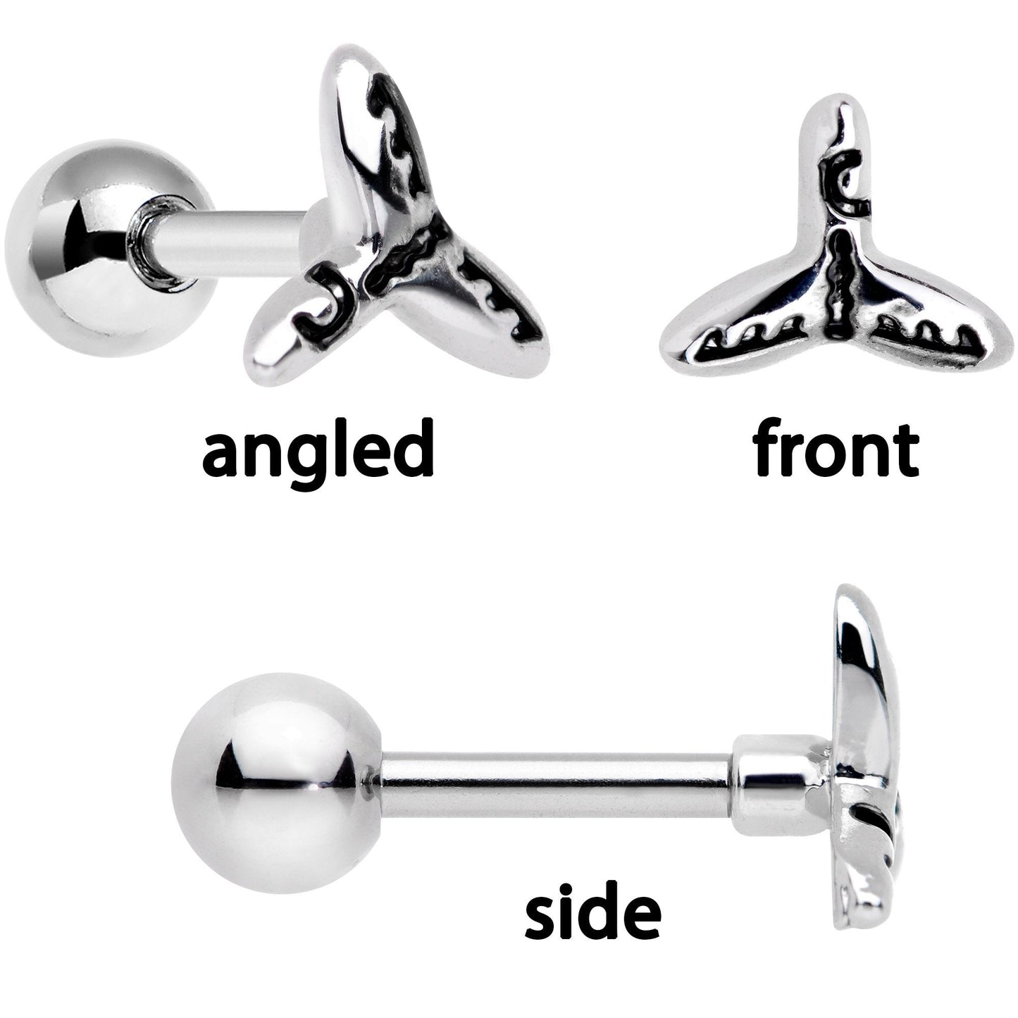 16G 1/4 Ocean Starfish Life Cartilage Tragus Earring Set of 3
