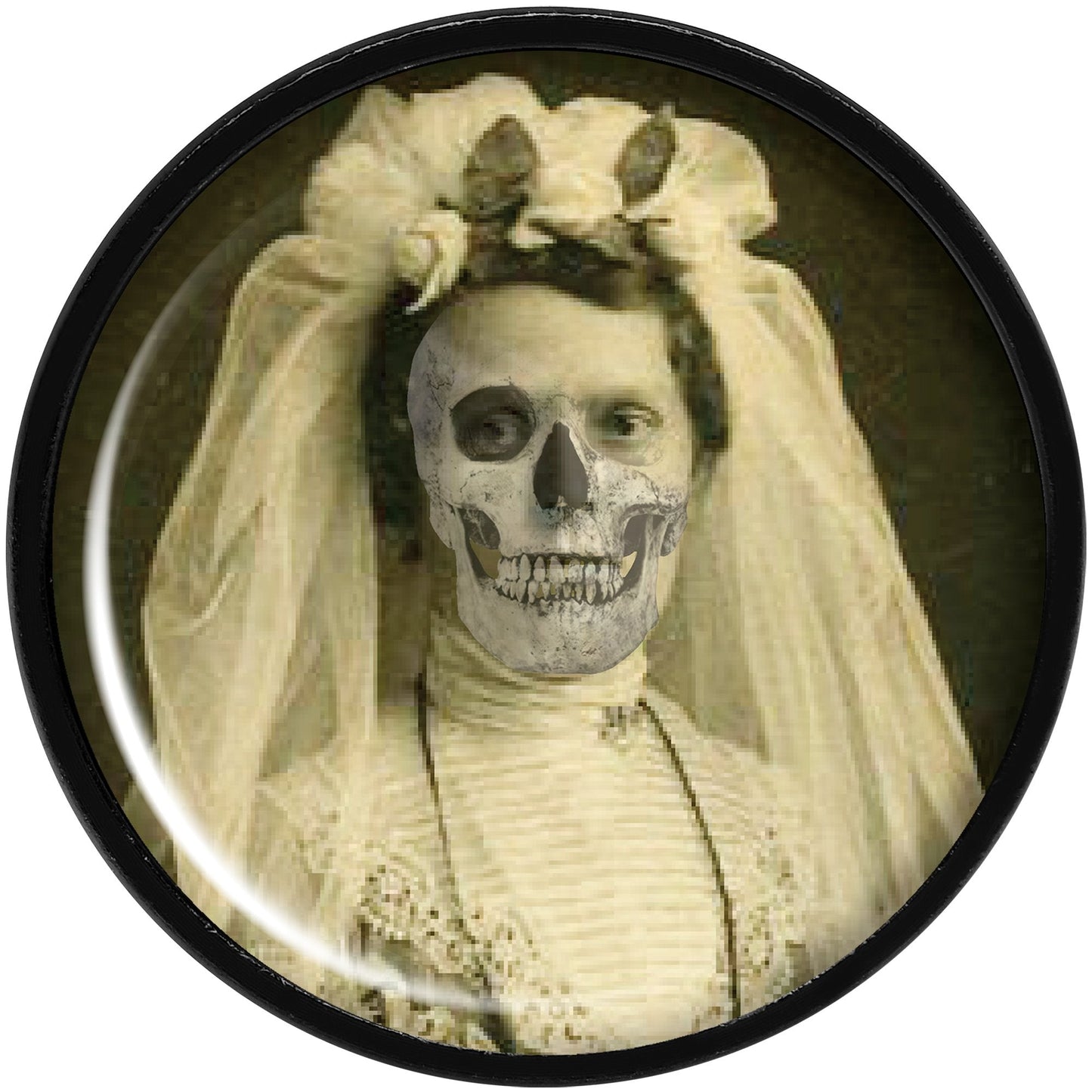 Undead Bride and Groom Halloween Black Anodized Plug Set 20mm